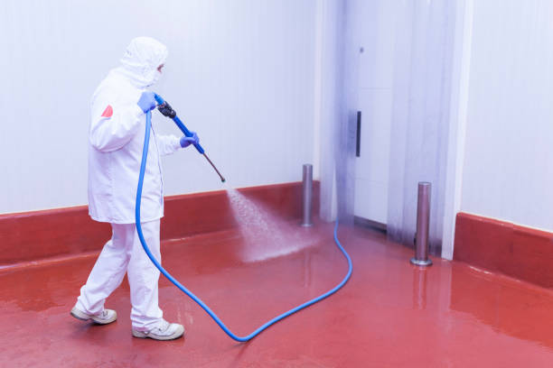 Trusted Winter Gardens, CA Pressure Washing Services Experts